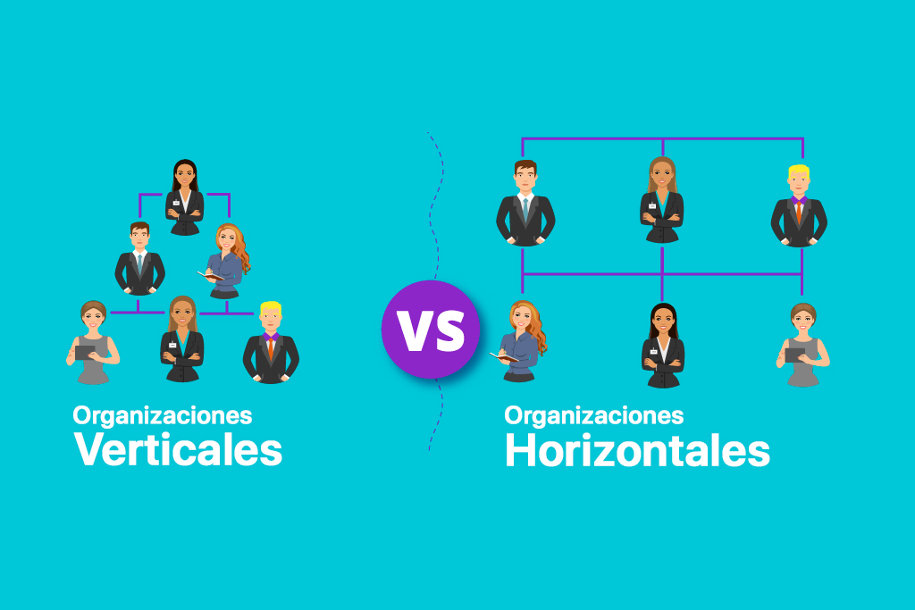 Organizaciones verticales y horizontales