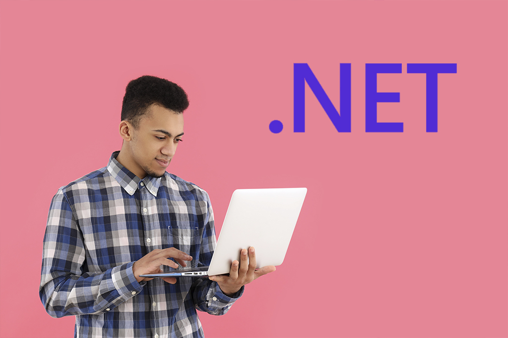 Desarrolladores .NET